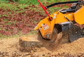 Best Pest Control for Lawns  in Cudahy, CA