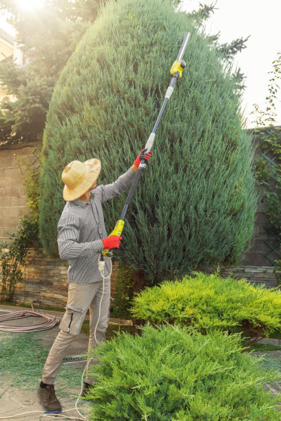 Best Lot and Land Clearing  in Cudahy, CA